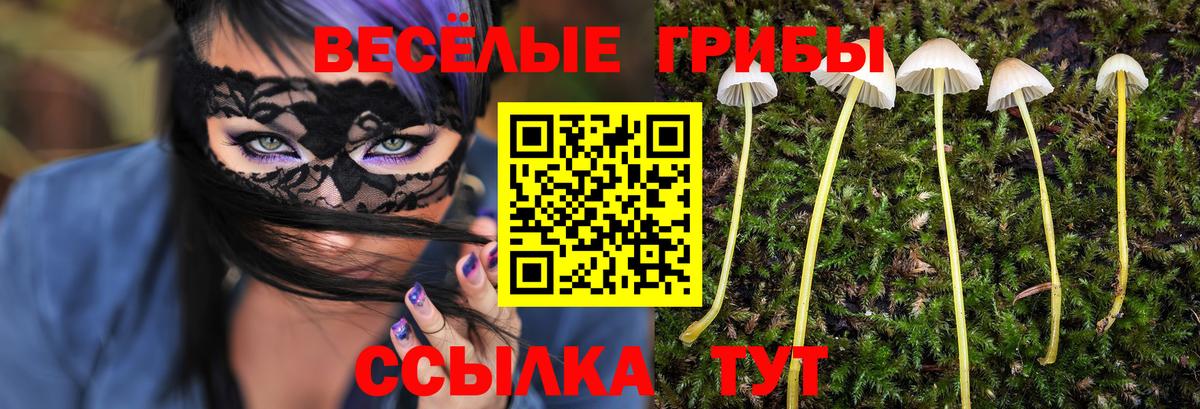 Псилоцибиновые грибы мухоморы Елабуга