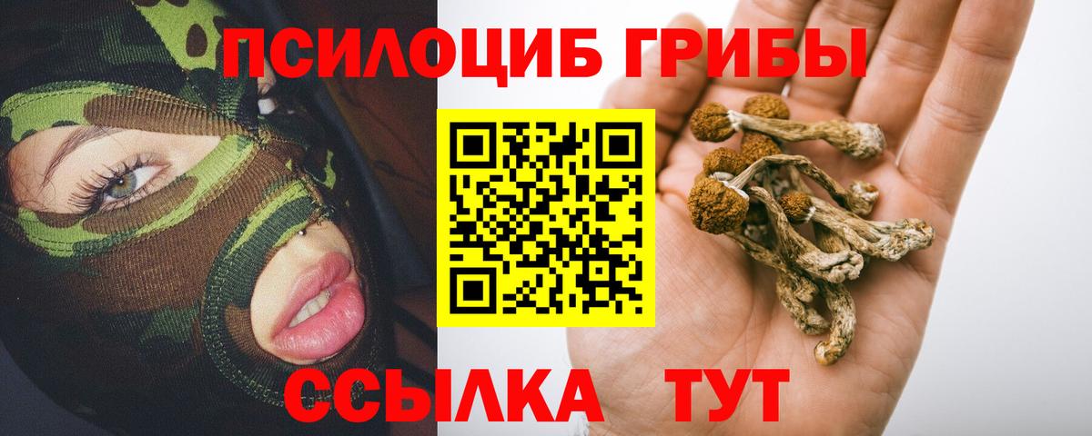 Псилоцибиновые грибы Psilocybine cubensis  Вход с VPN  Псилоцибиновые грибы мухоморы  Елабуга 